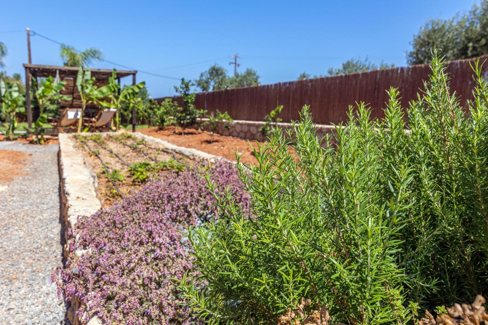Apartment γηorganic Farm And Houses. *