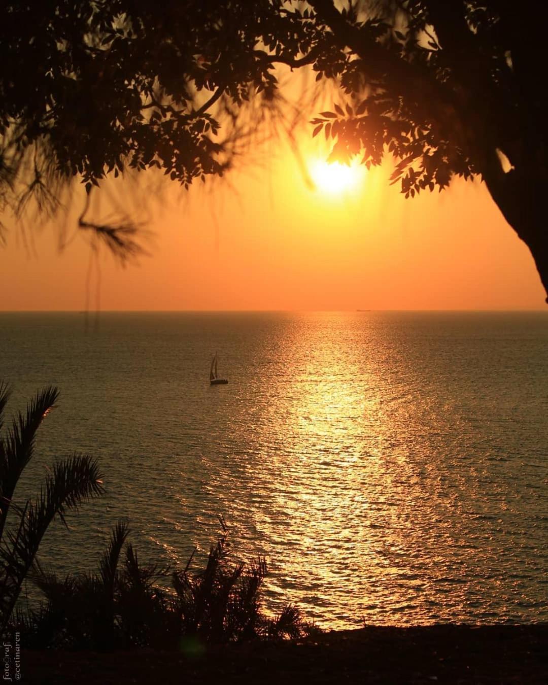 Mare Nostrum Sounio Villa *