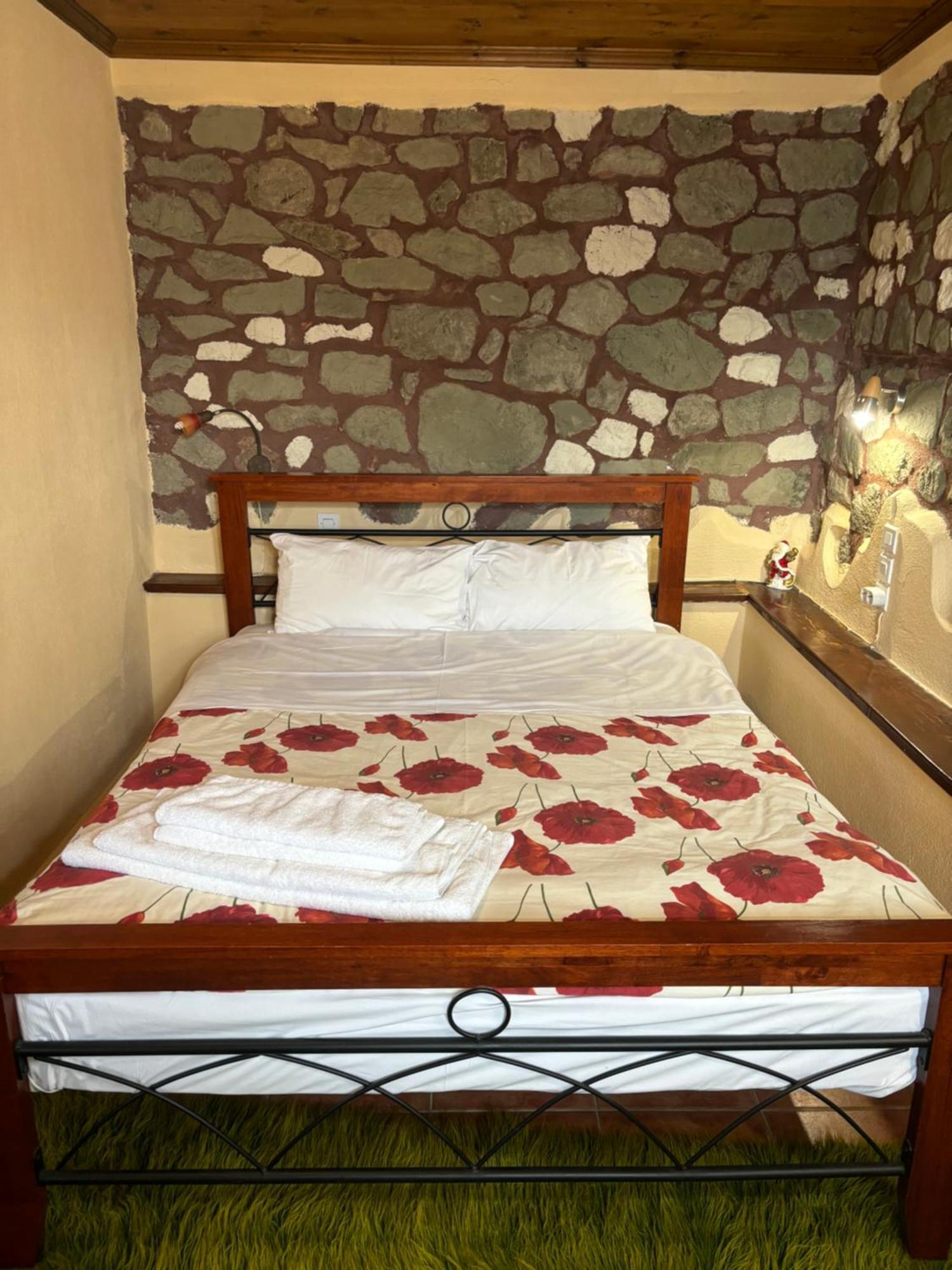 Guest house πέτρινο όραμα Kotronion (Trikala)