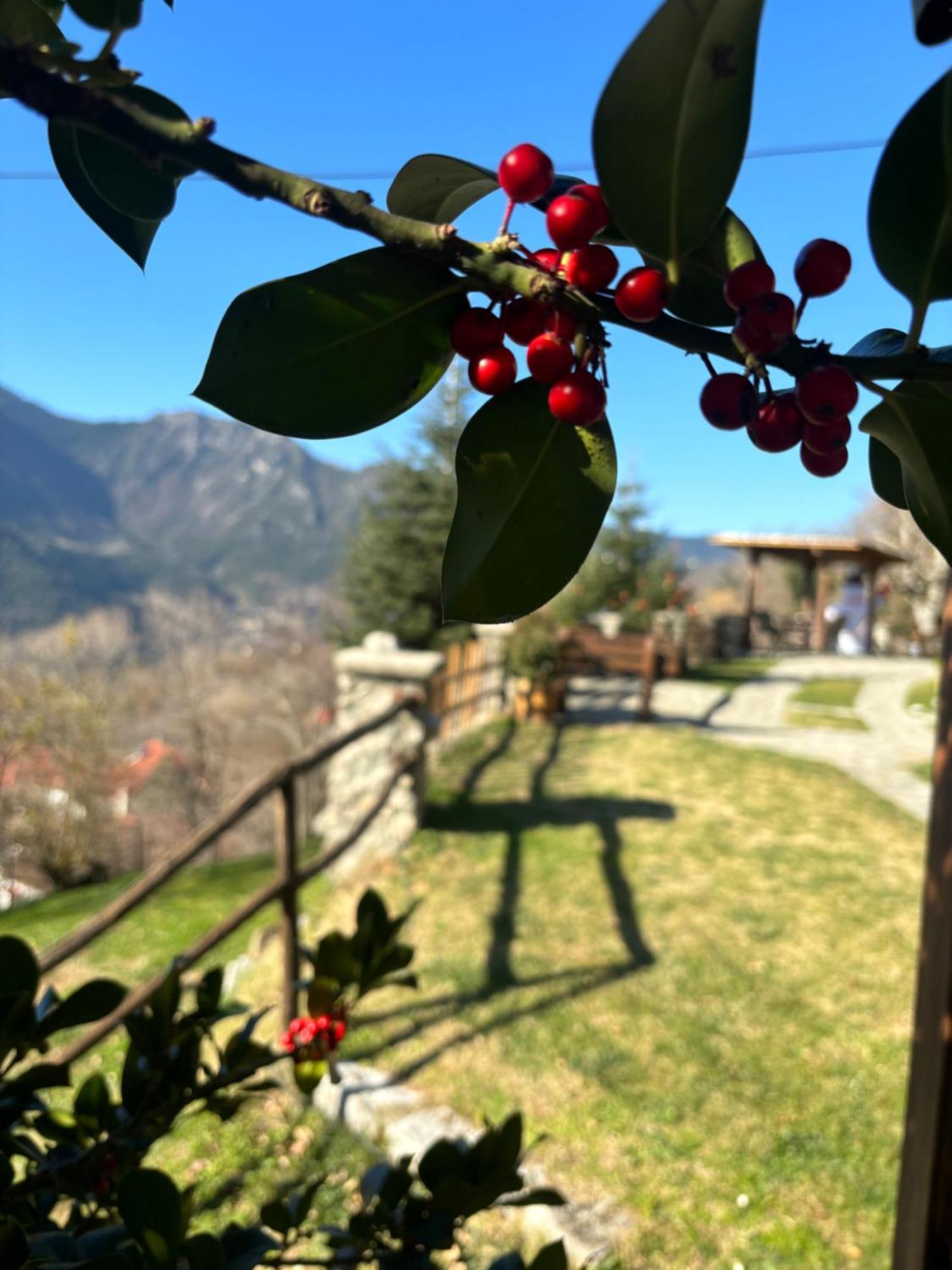 Guest house πέτρινο όραμα Kotronion (Trikala)