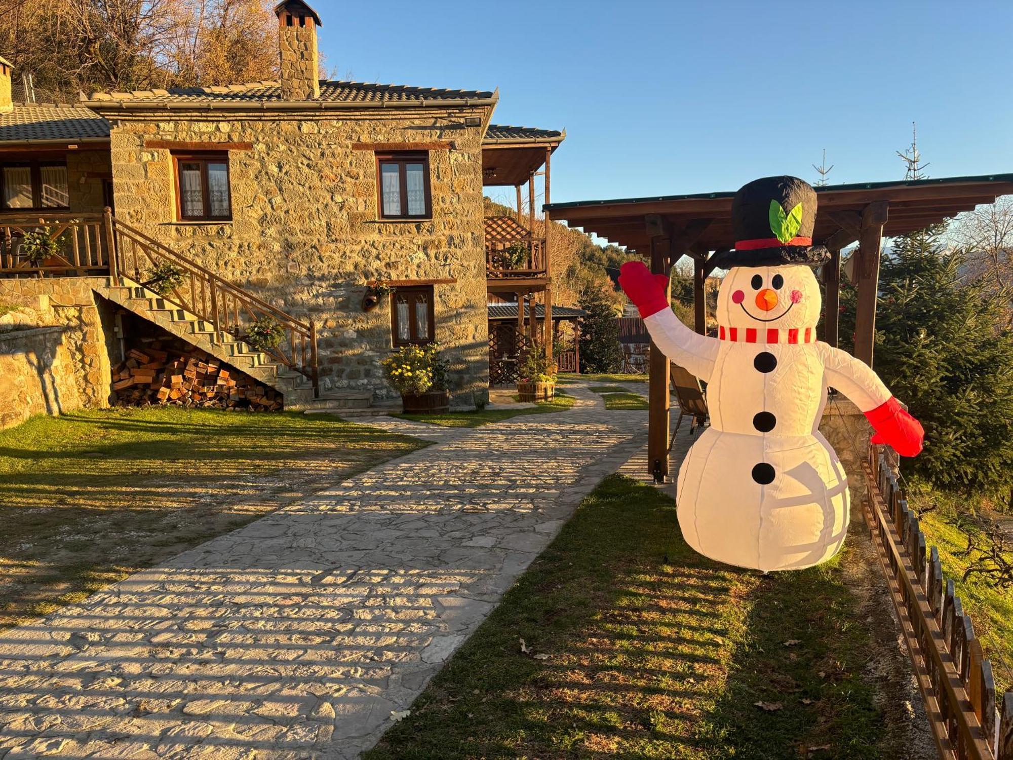 πέτρινο όραμα Guest house Kotronion (Trikala)