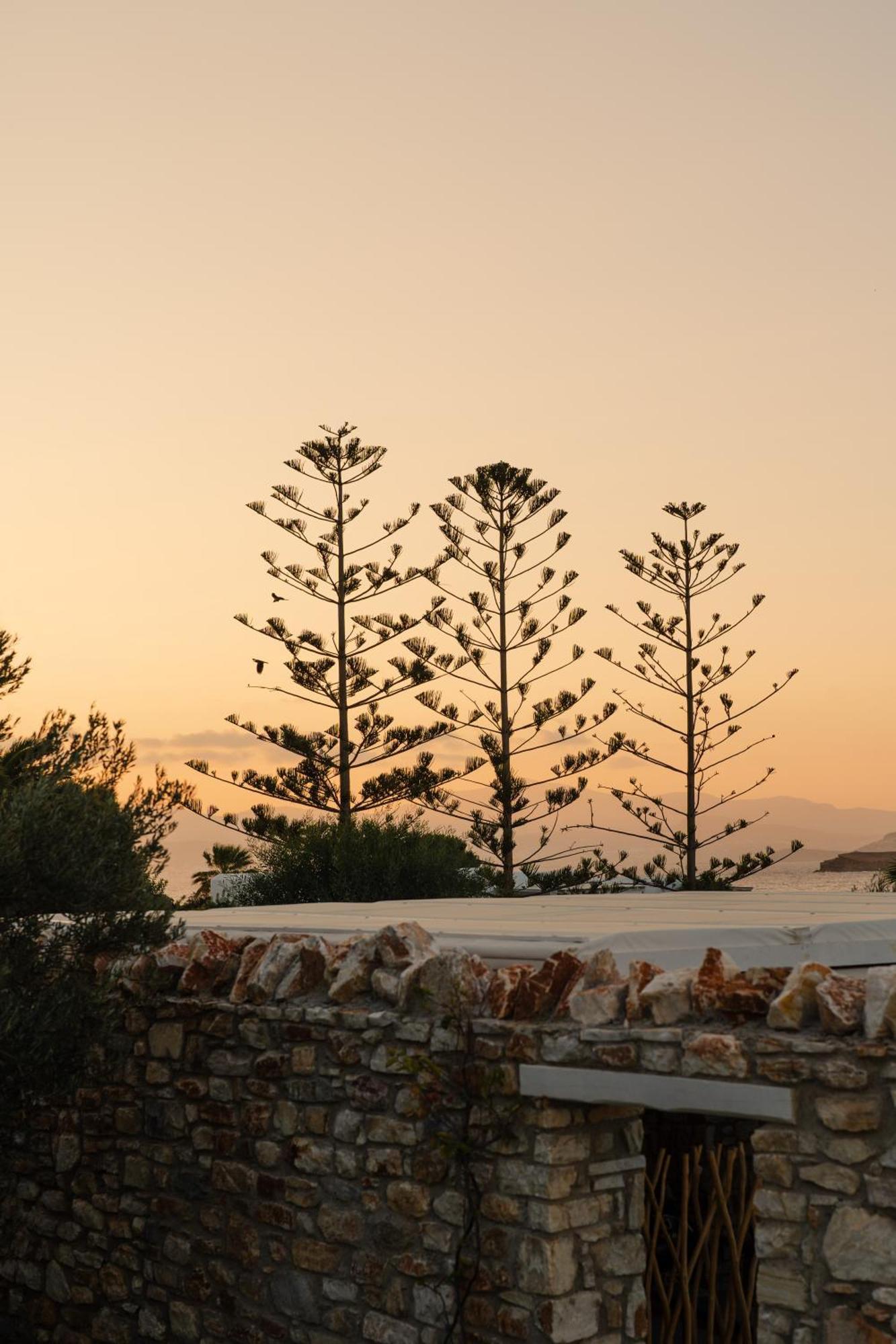 White Dunes Luxury Boutique Hotel