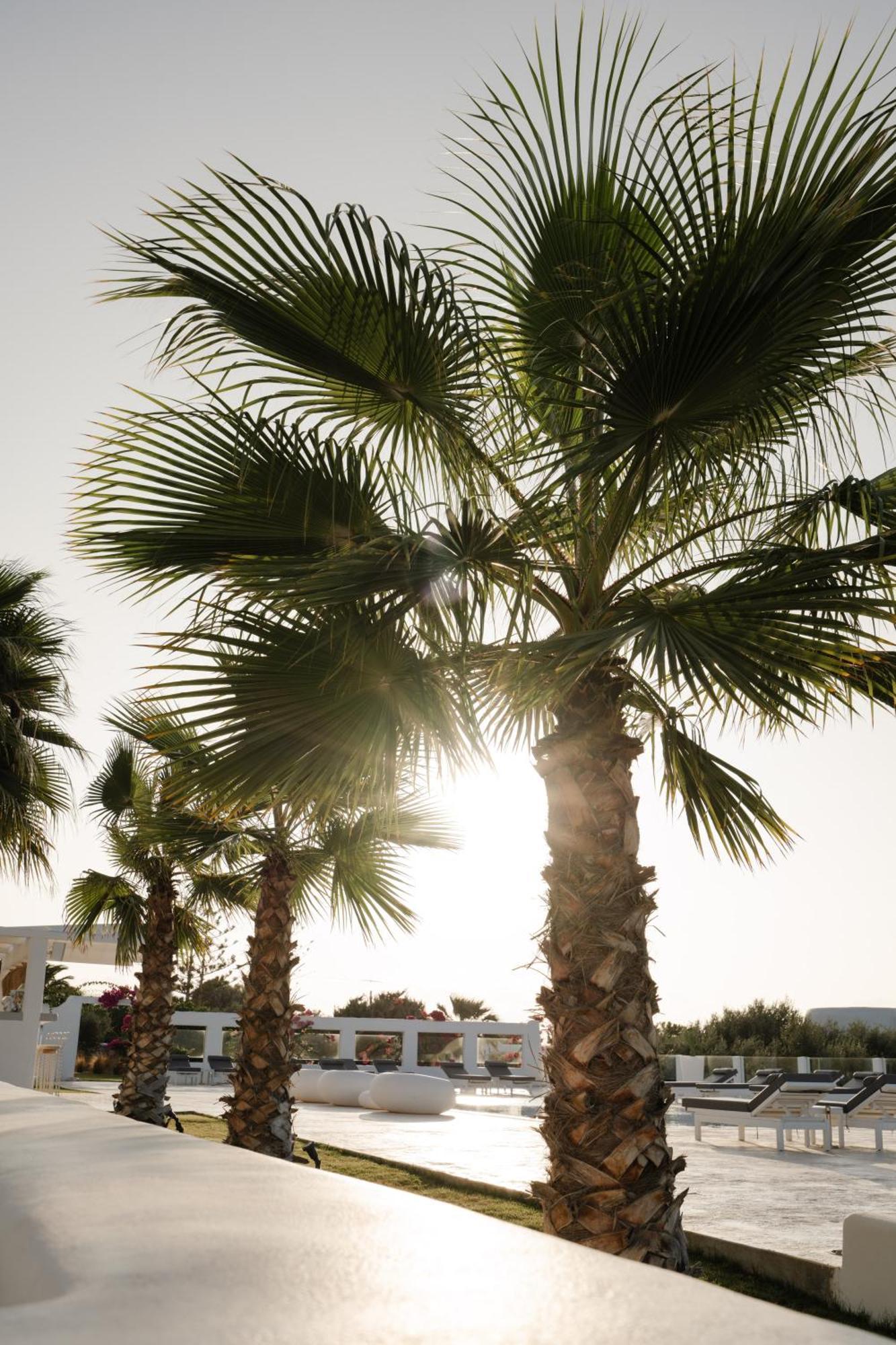 White Dunes Luxury Boutique
