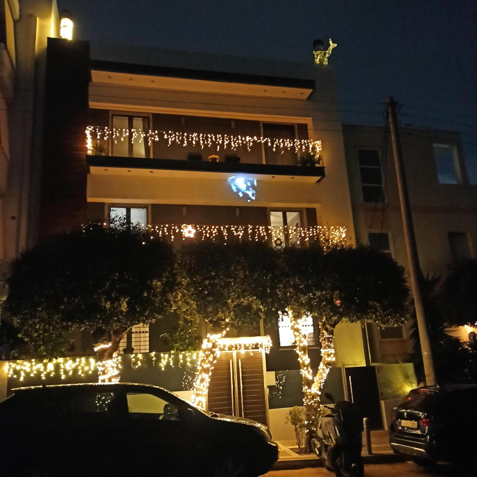 Apartment Tree Olive *