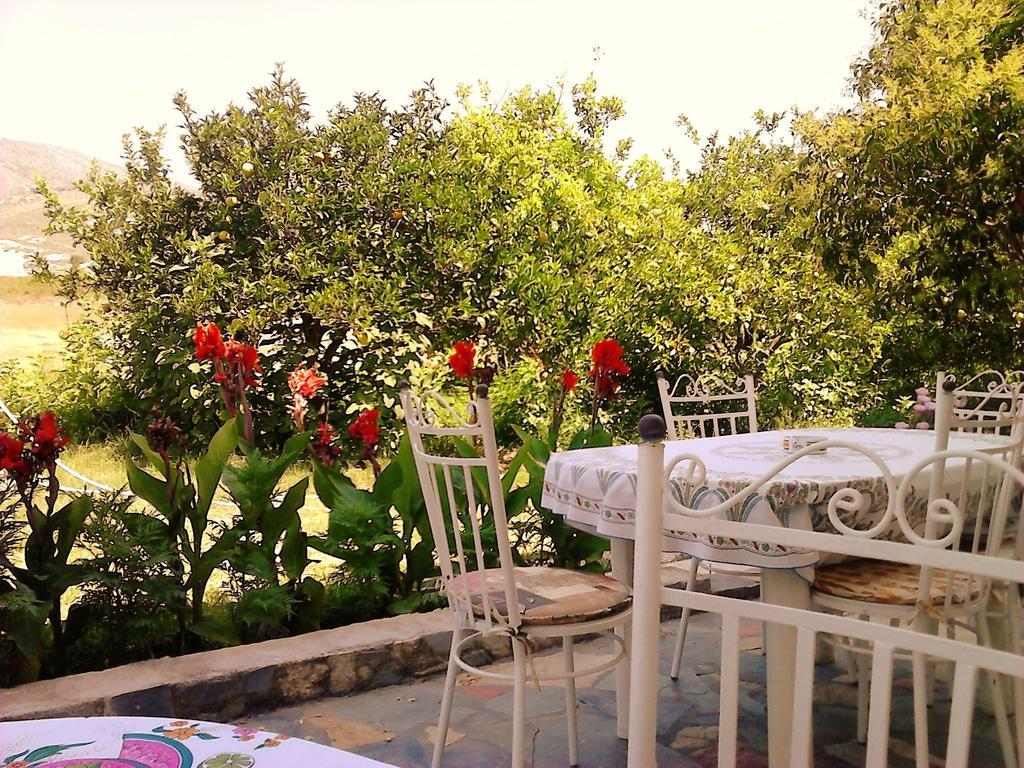 Apartment Makis Katelios