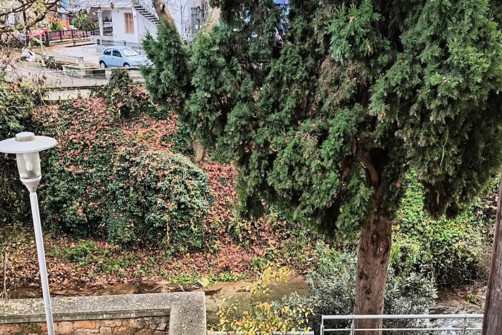 Apartment παραποτάμια νάουσα