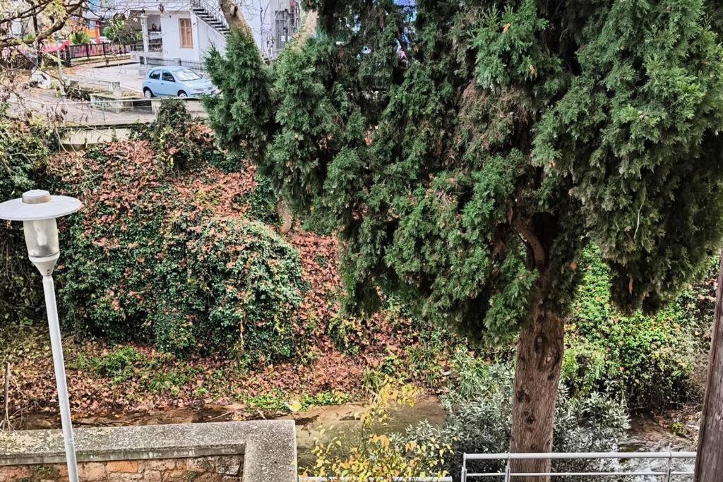Apartment παραποτάμια νάουσα