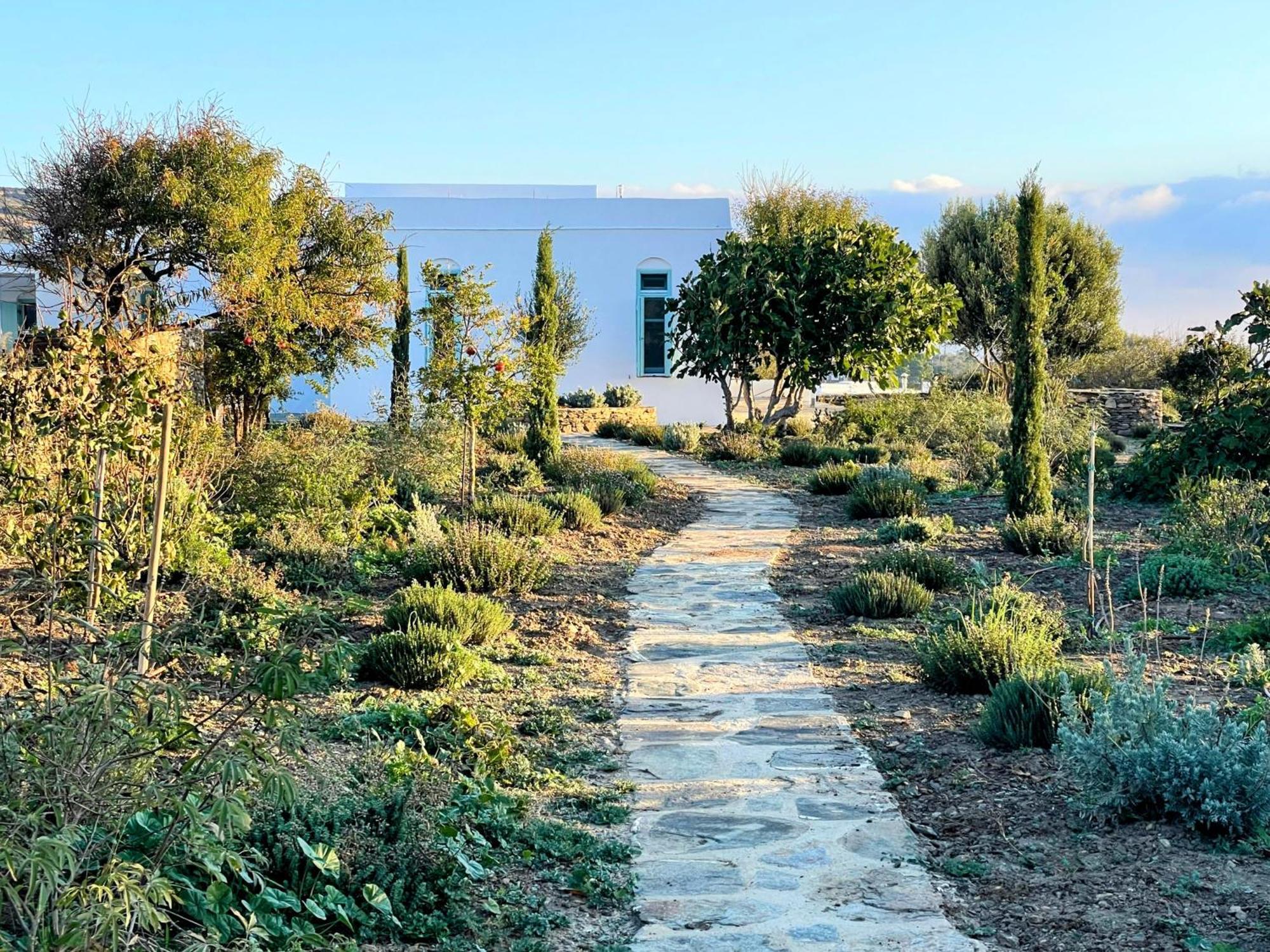 Holiday home Eco-luxe Retreat In Ano Petali, Sifnos