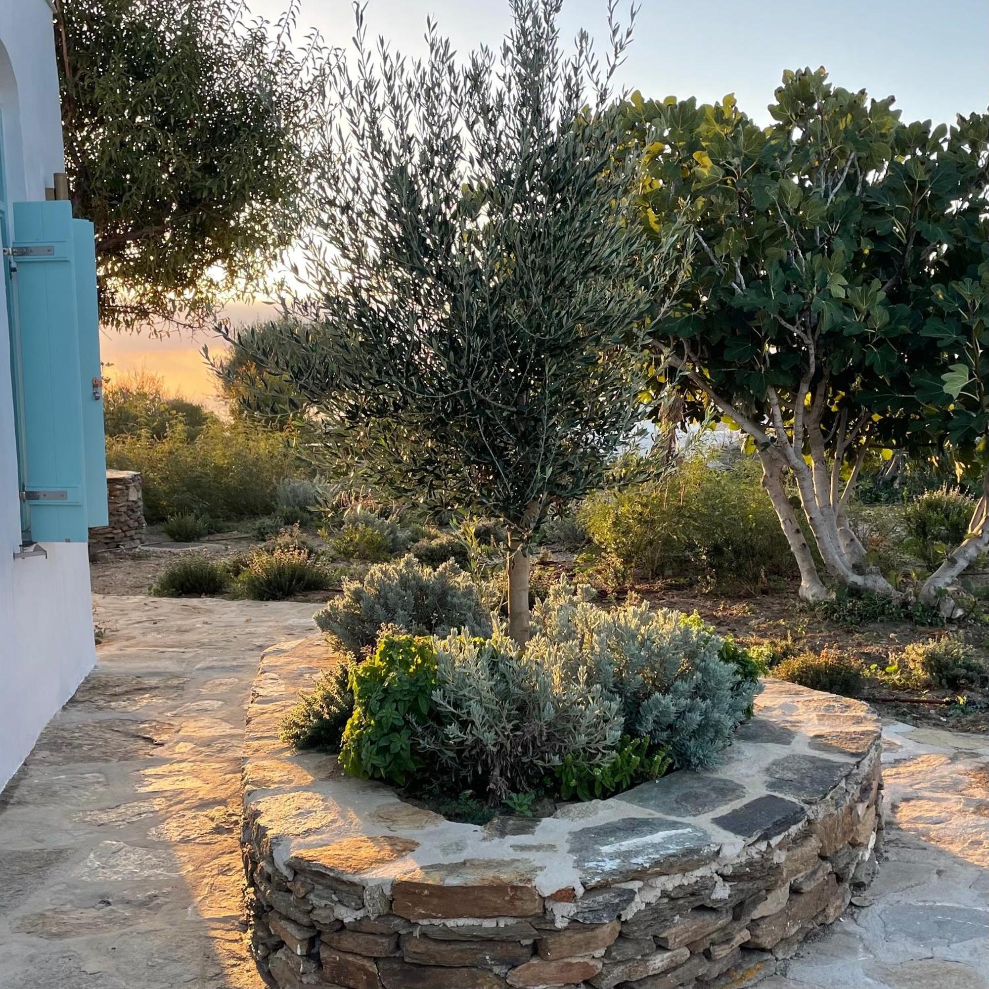 Eco-luxe Retreat In Ano Petali, Sifnos *