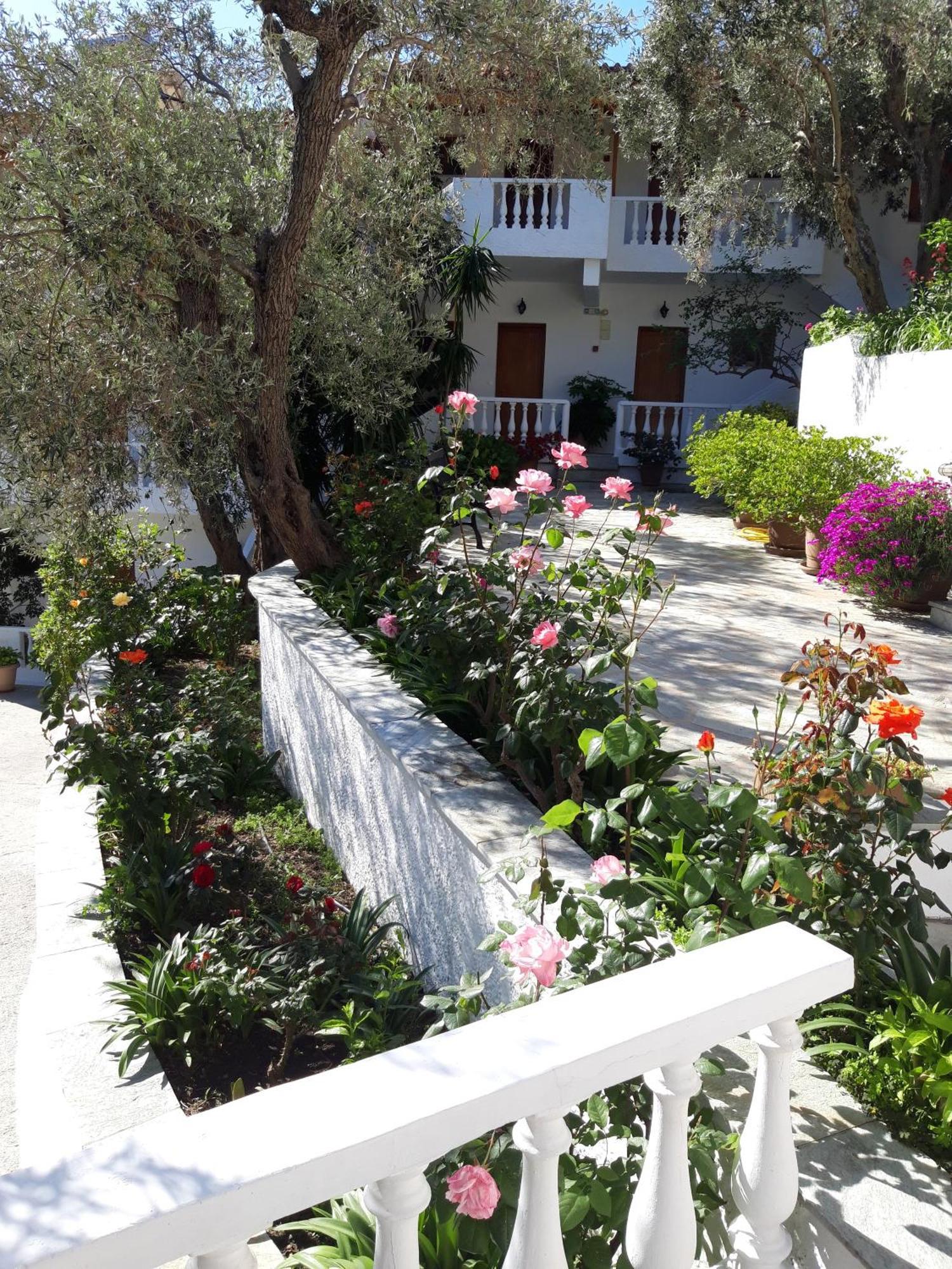 Apartment Olive Grove View
