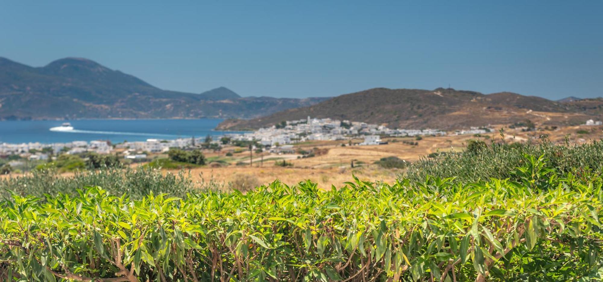 Apartment Iliana Olive Branch Adamantas (Milos)