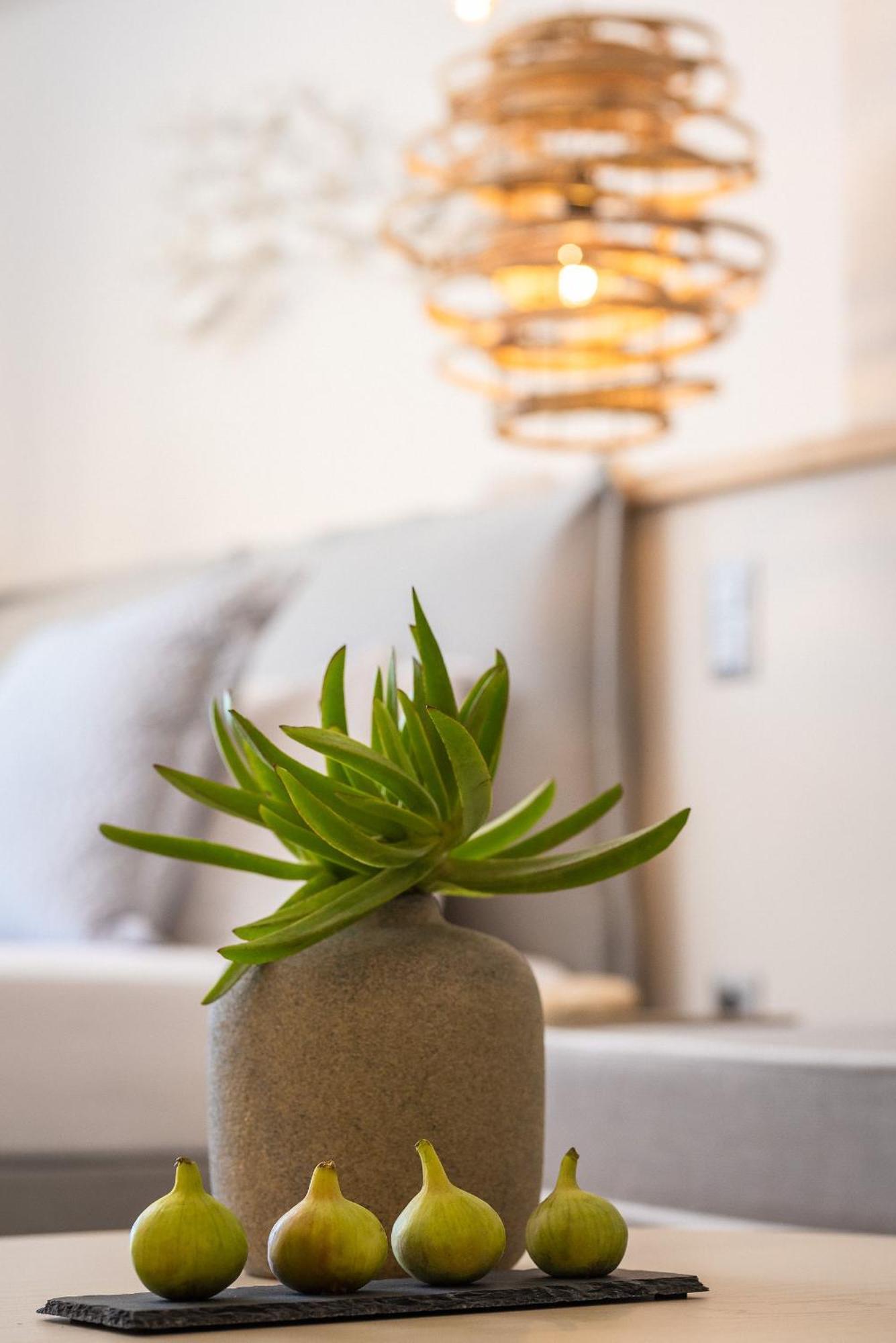 Apartment 8moons Boutique