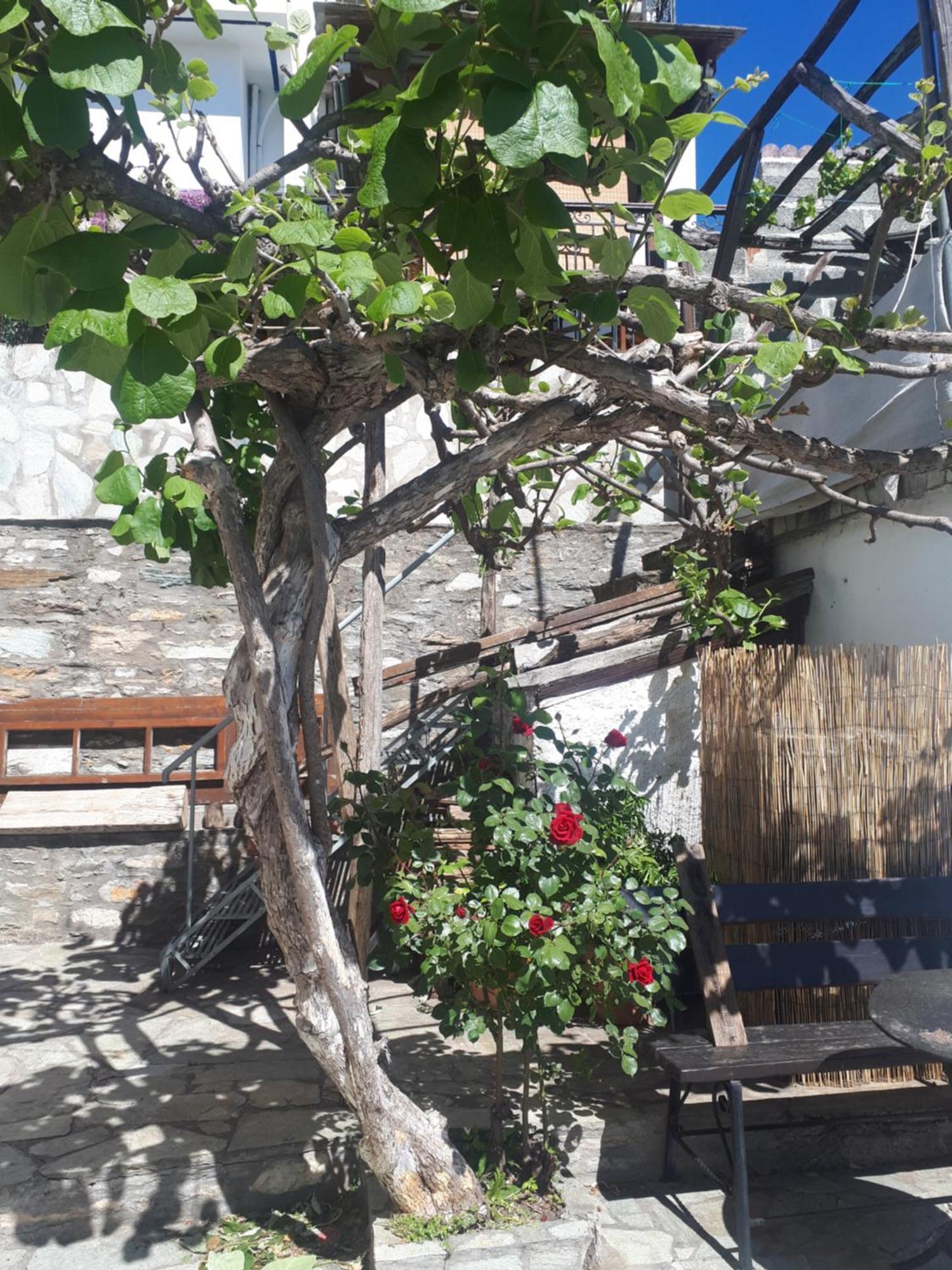 αrchontiko Tis Marios Guest house *