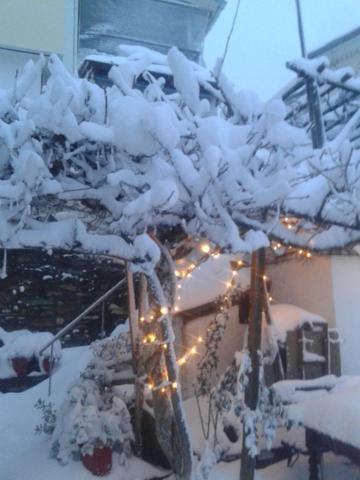 αrchontiko Tis Marios Guest house