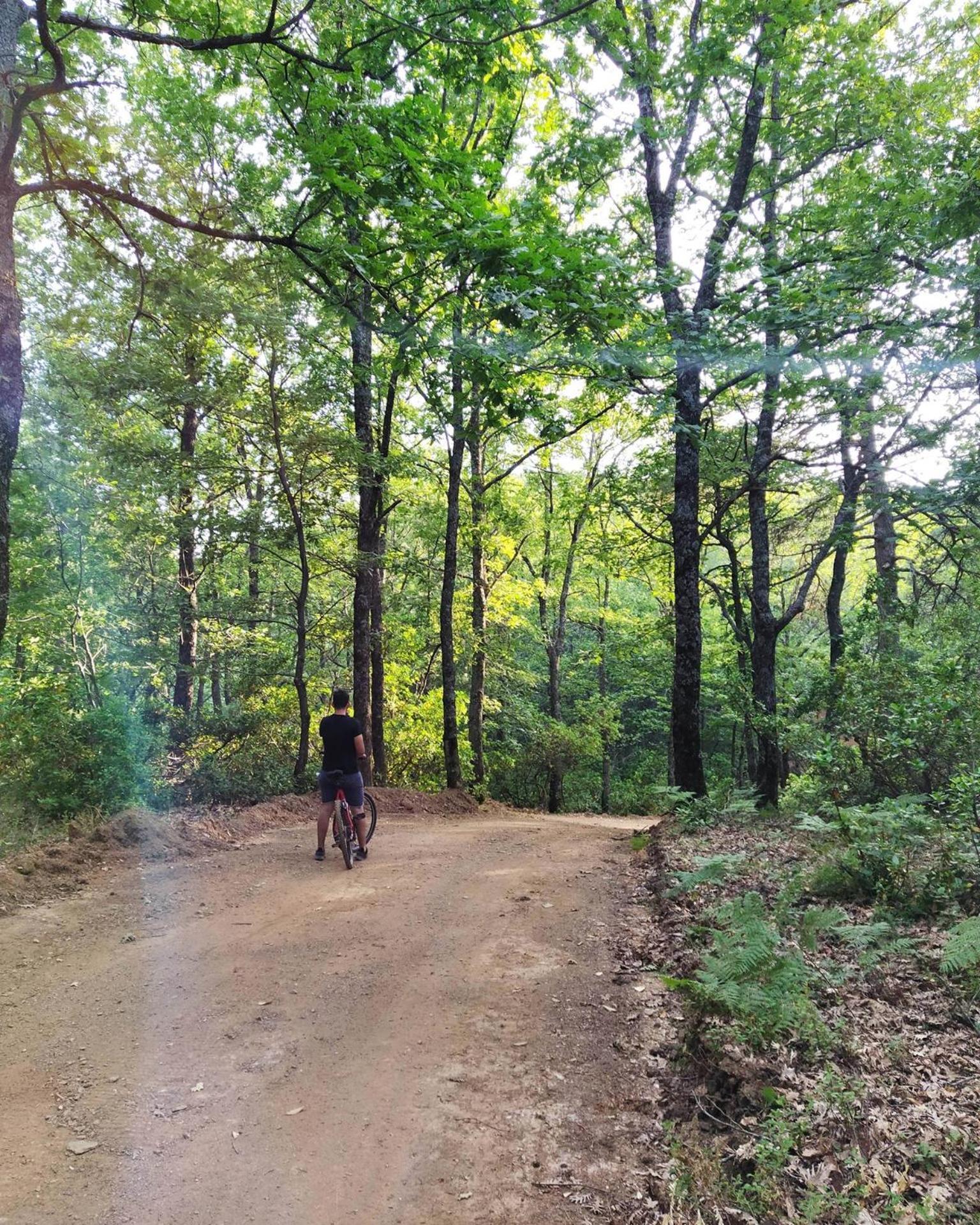Evia Forest Village Pappades