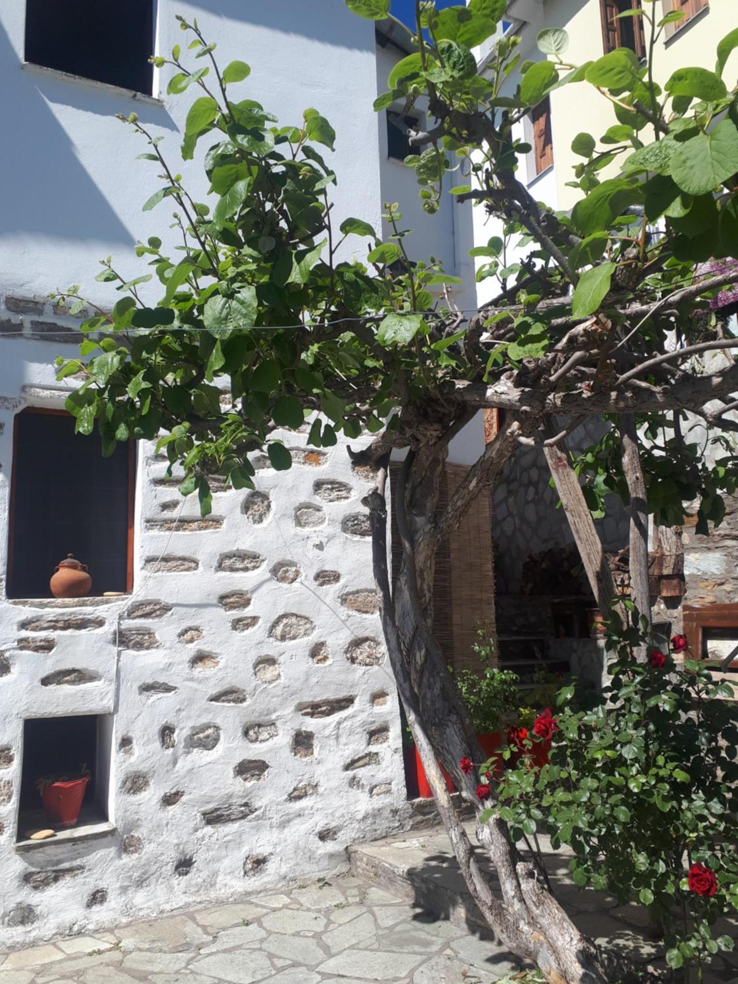 Guest house αrchontiko Tis Marios