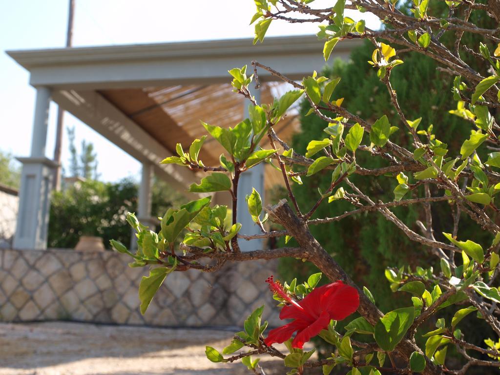 Aristotelis Apartment