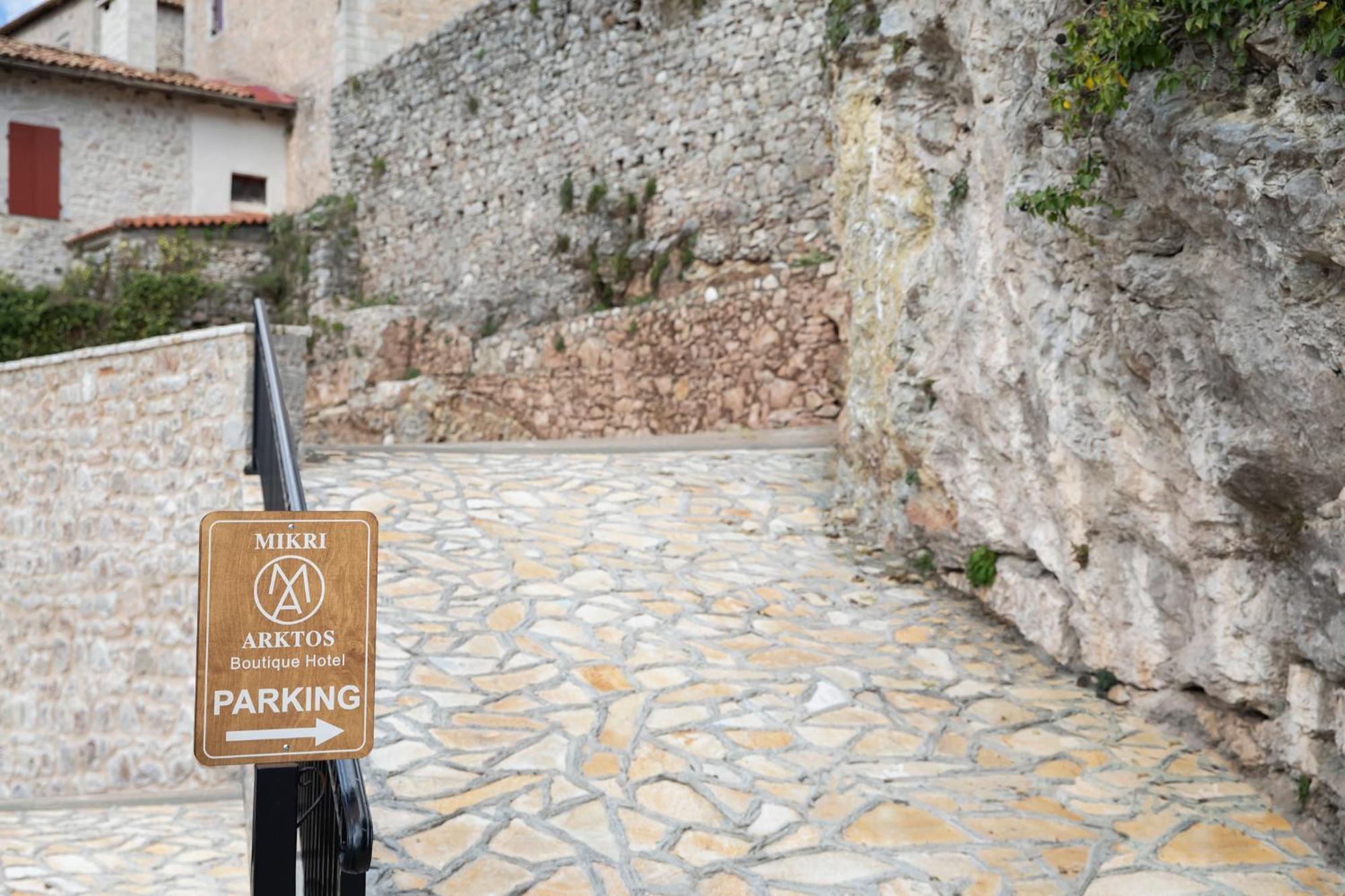 Hotel μikri Arktos Boutique