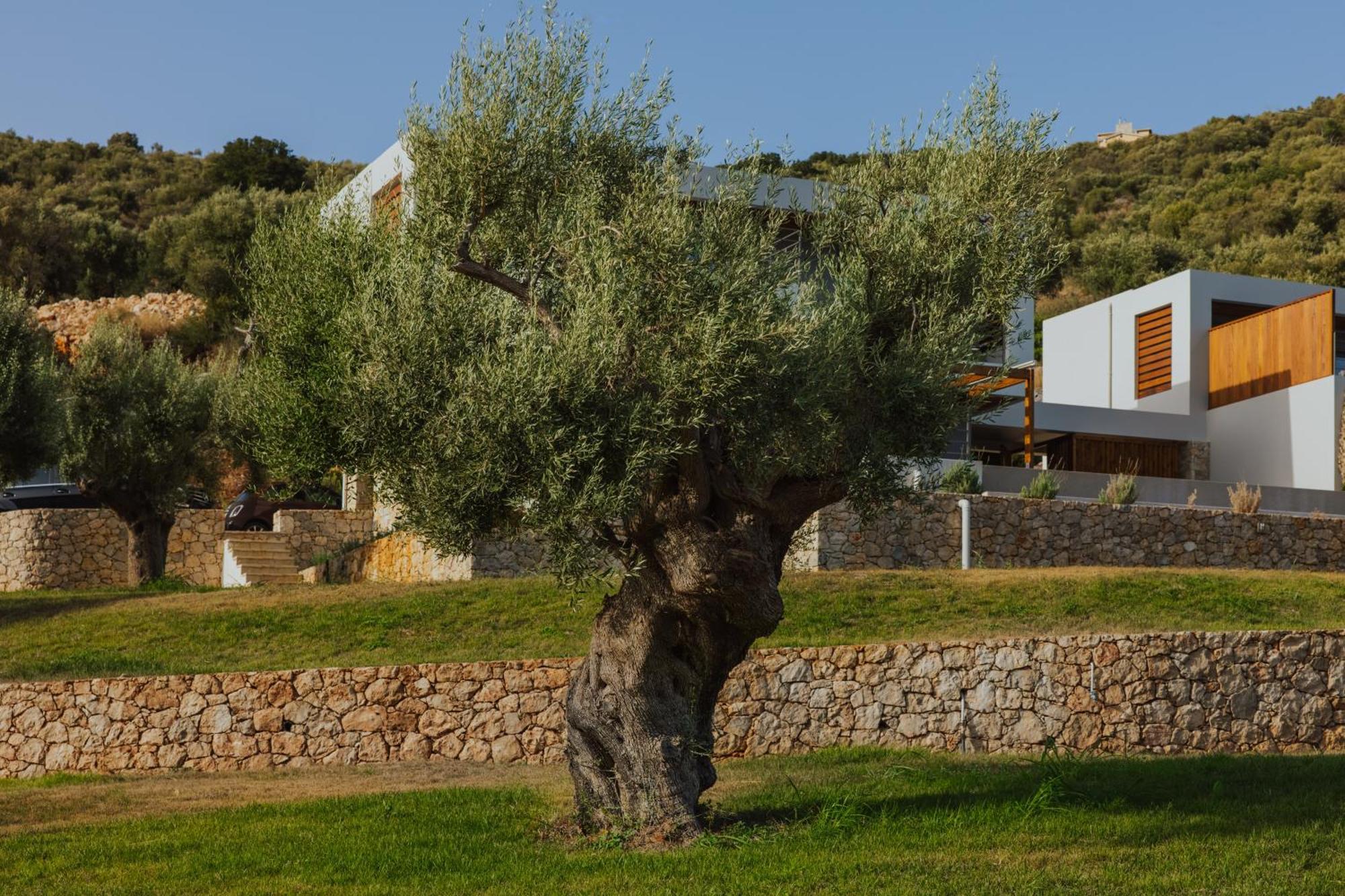2s Villa *