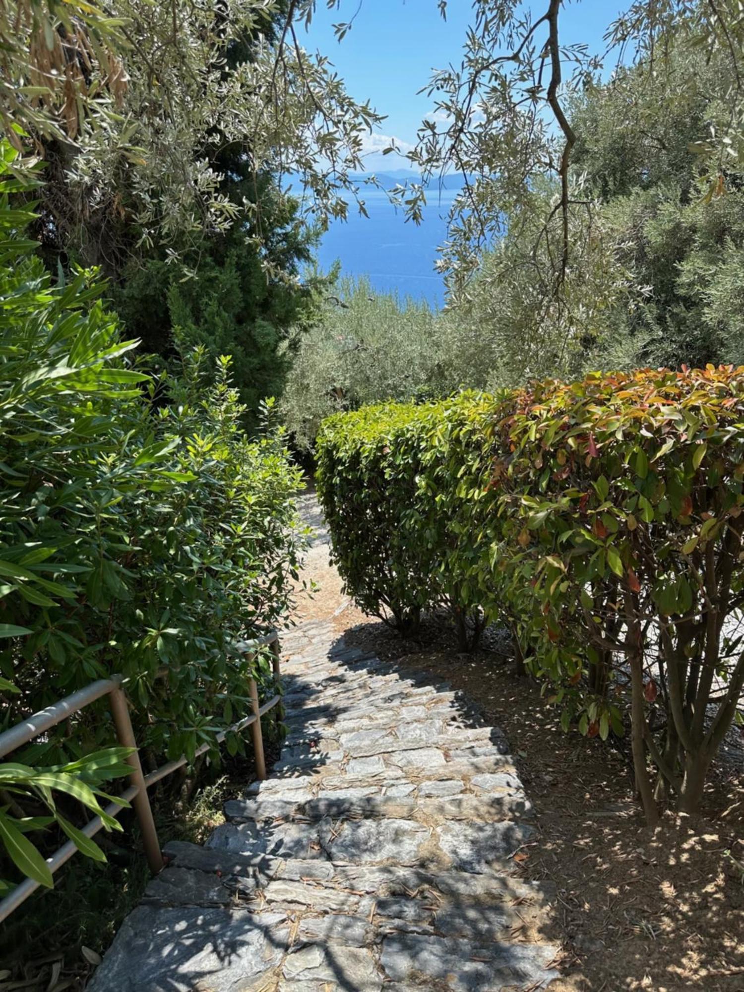 Elia Pilio Villas Pilion