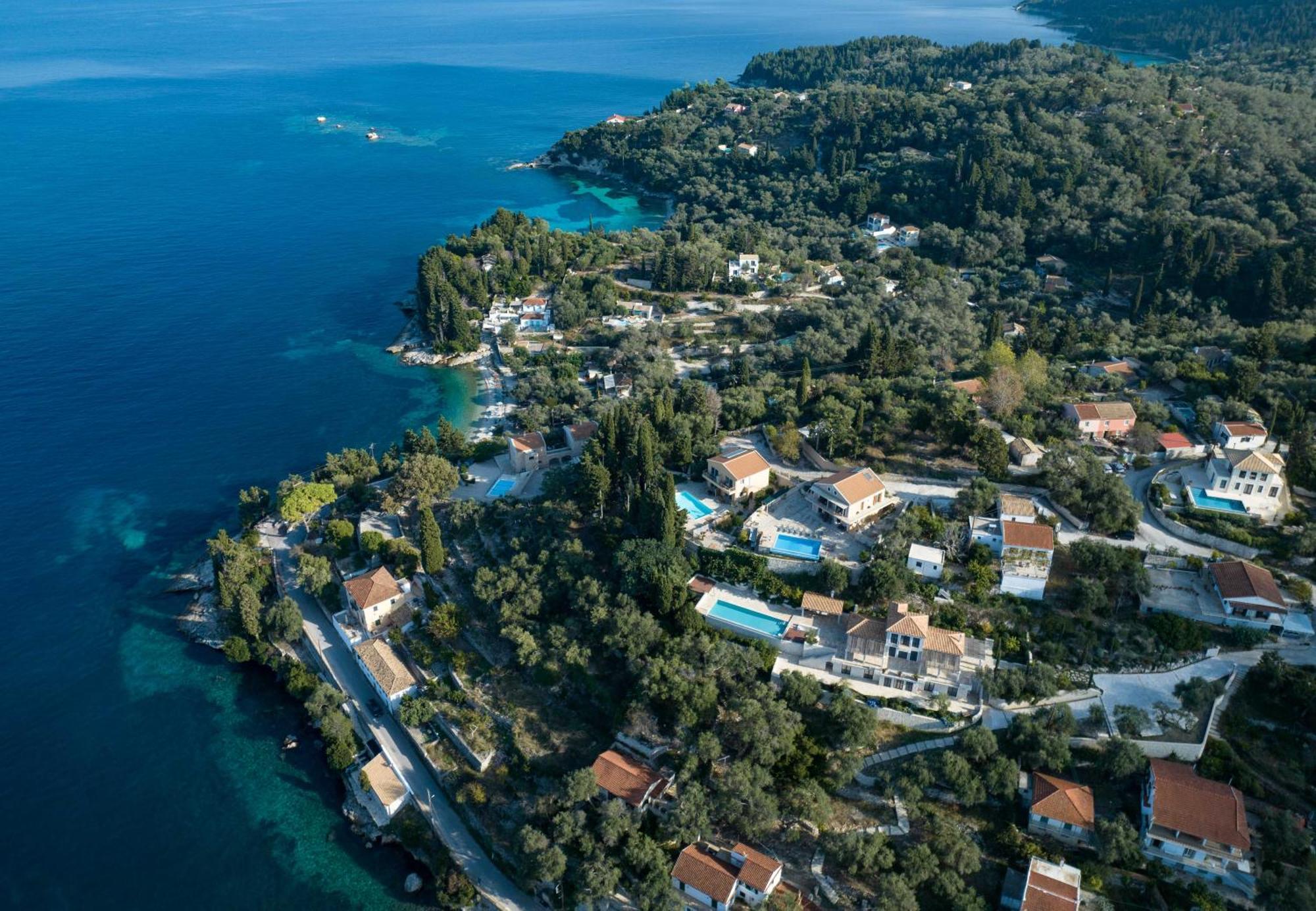 Pangolas Paxos *