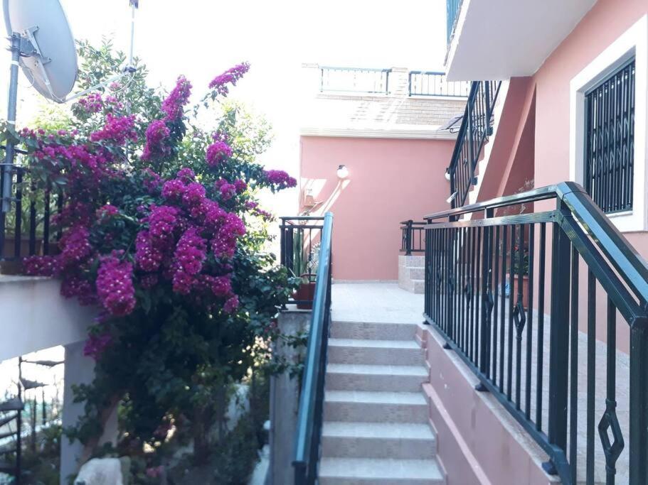 Apartment Anna *