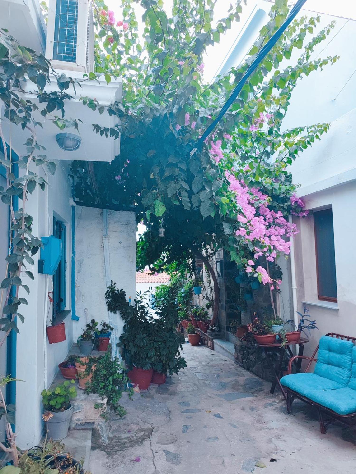 Kastro House Holiday home