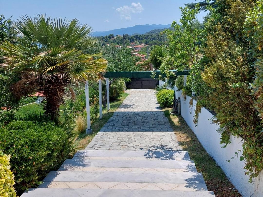 Seaview Dreams * Ormos Panagias