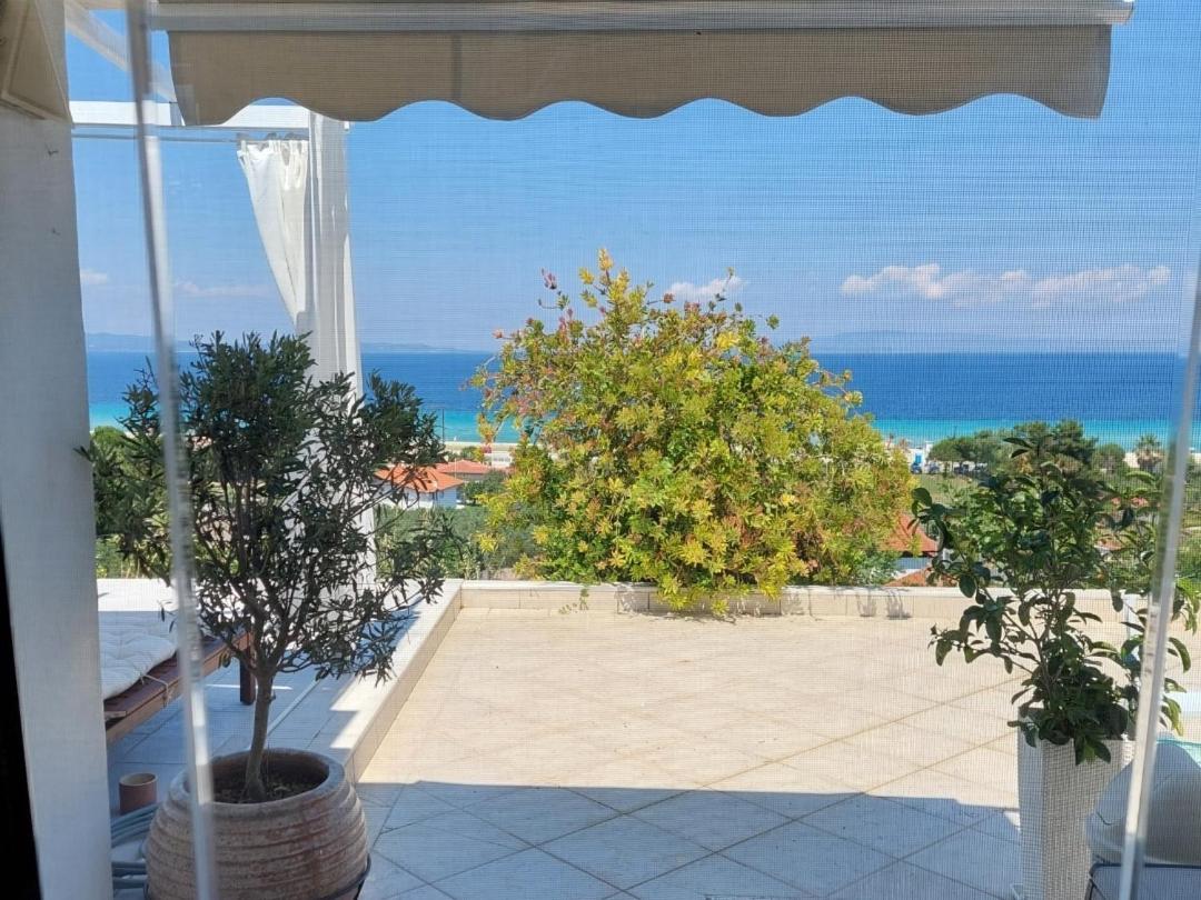 Seaview Dreams