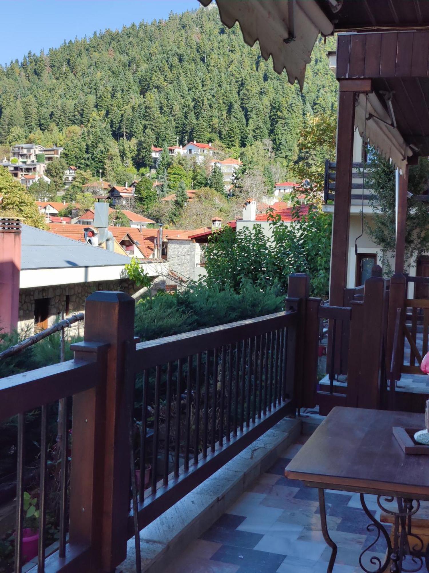Theodorou 3* Elati (Trikala)