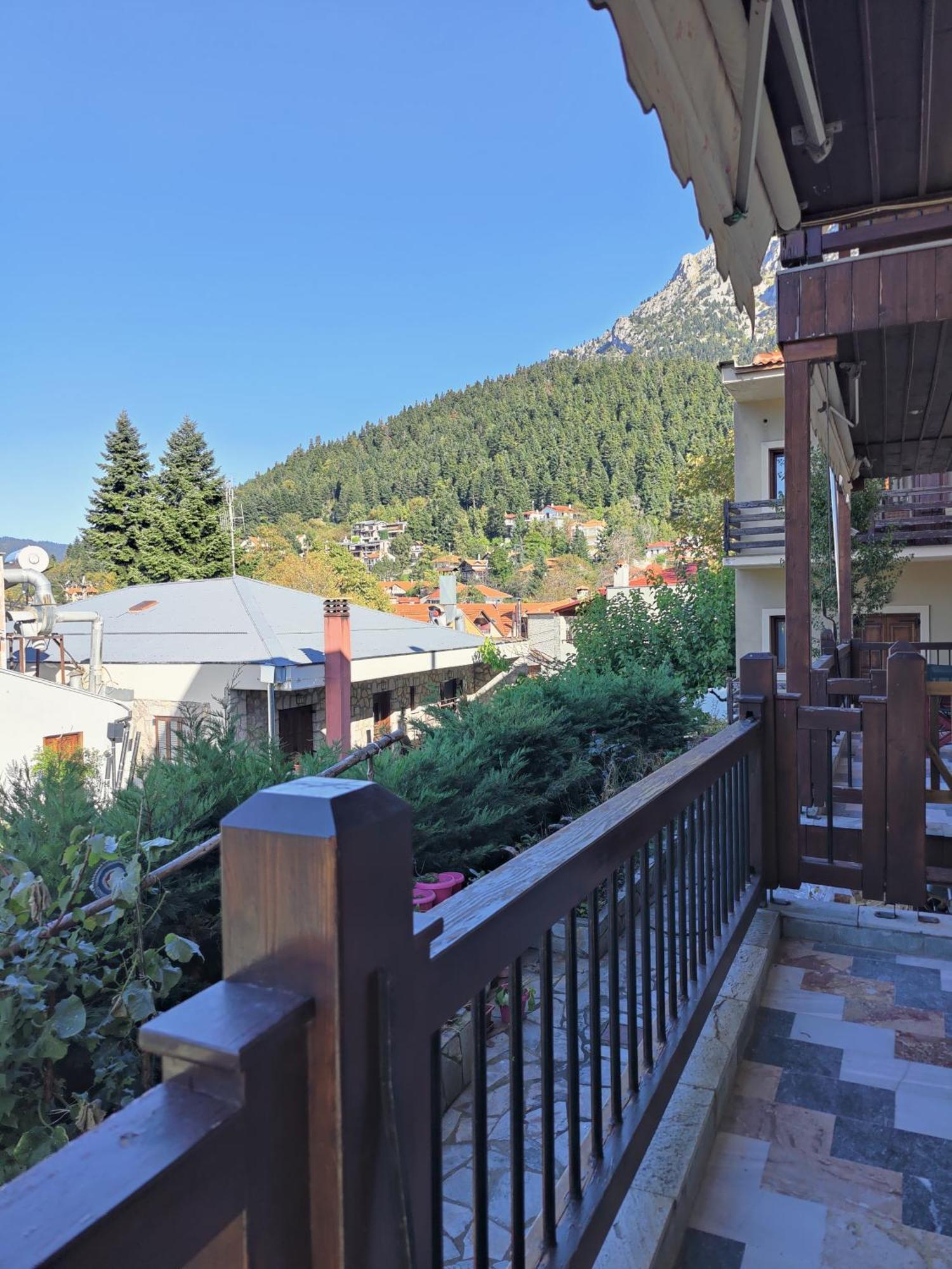 Theodorou 3* Elati (Trikala)