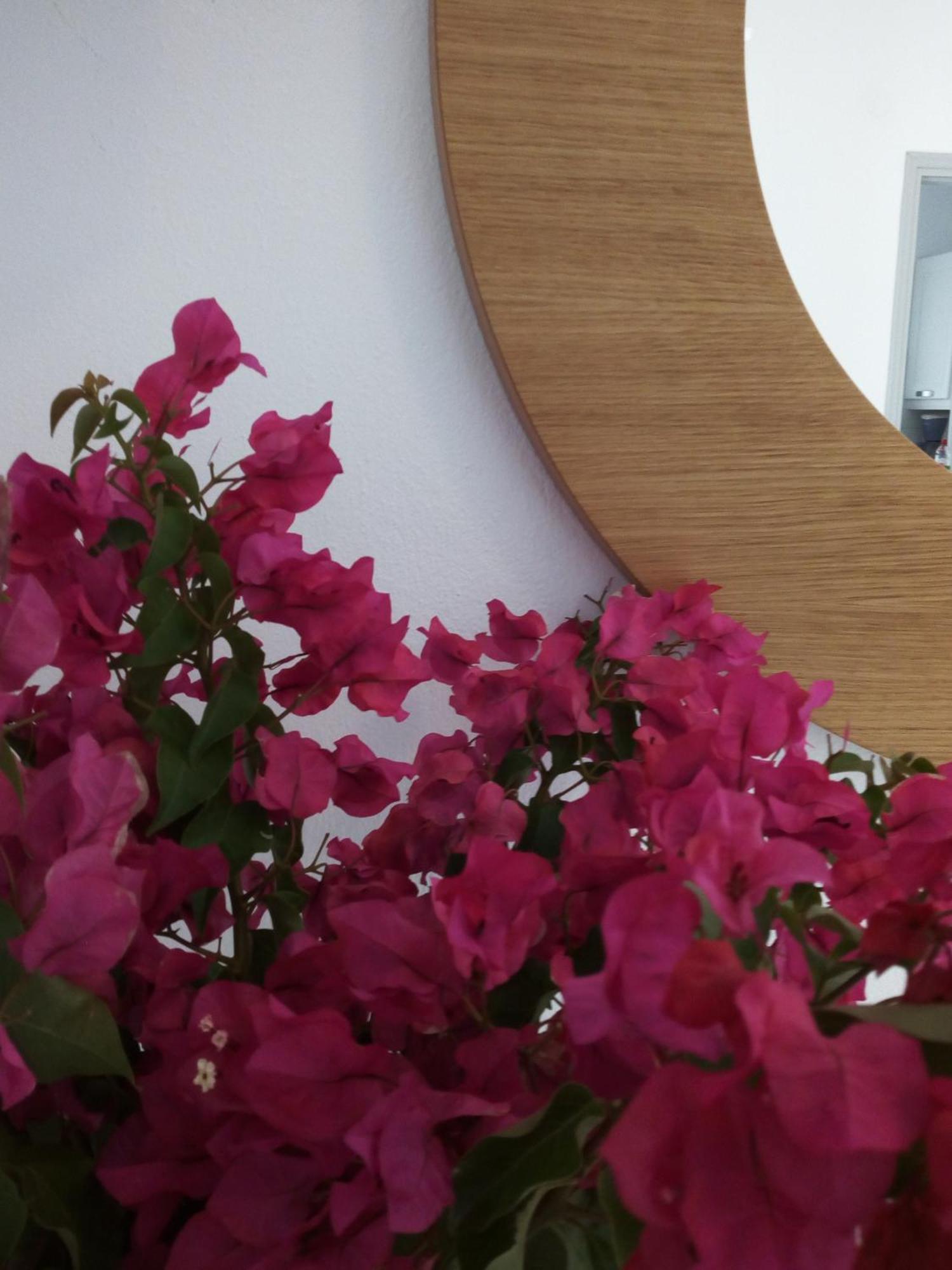 Aparthotel Despina's Mare Naousa (Paros)
