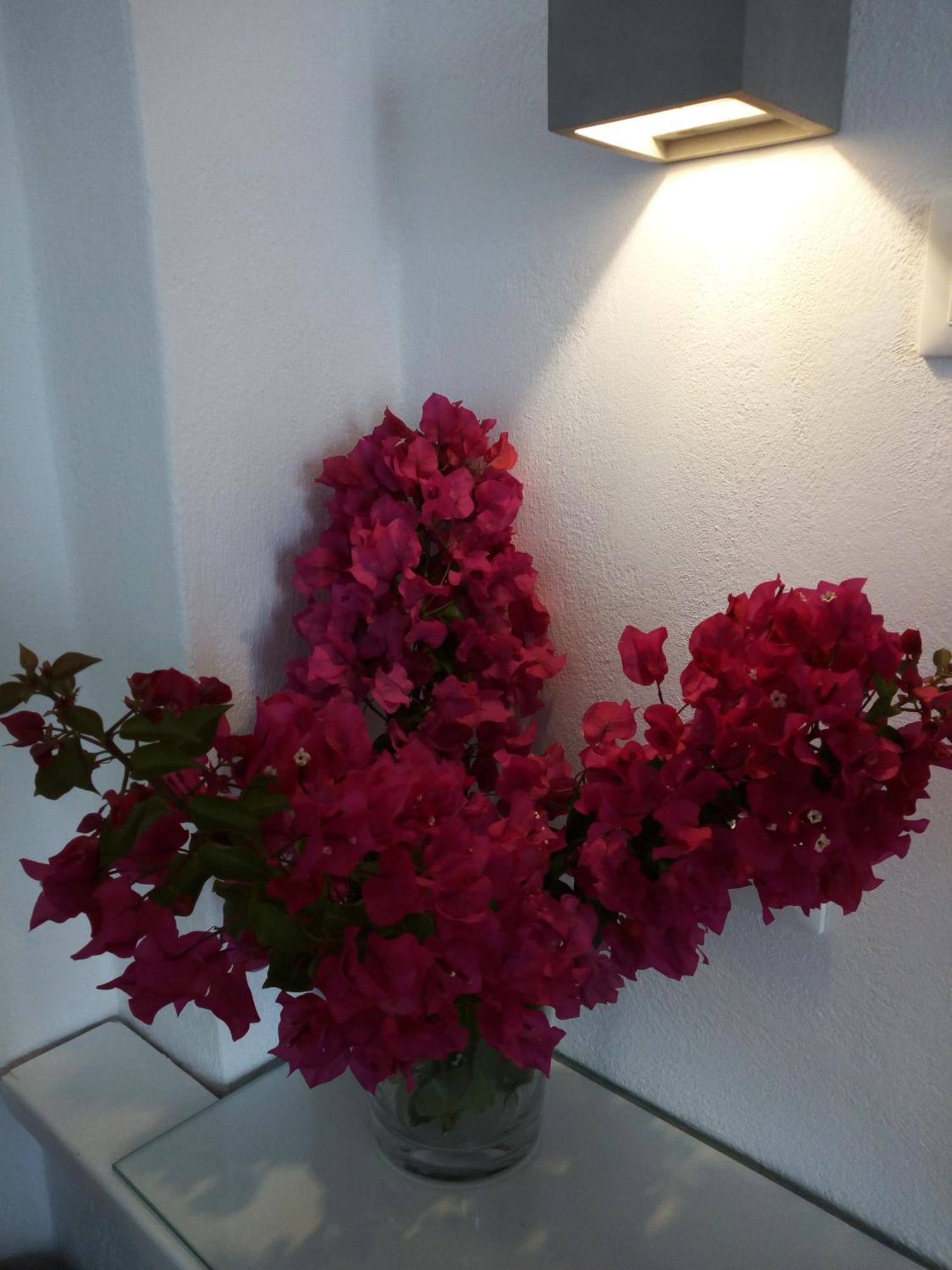 Aparthotel Despina's Mare 3*