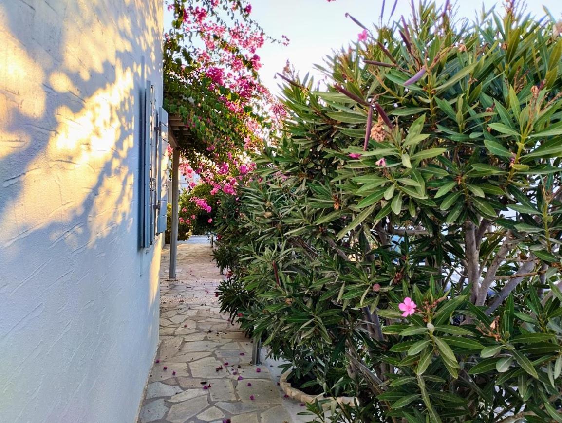 Despina's Mare Aparthotel 3*