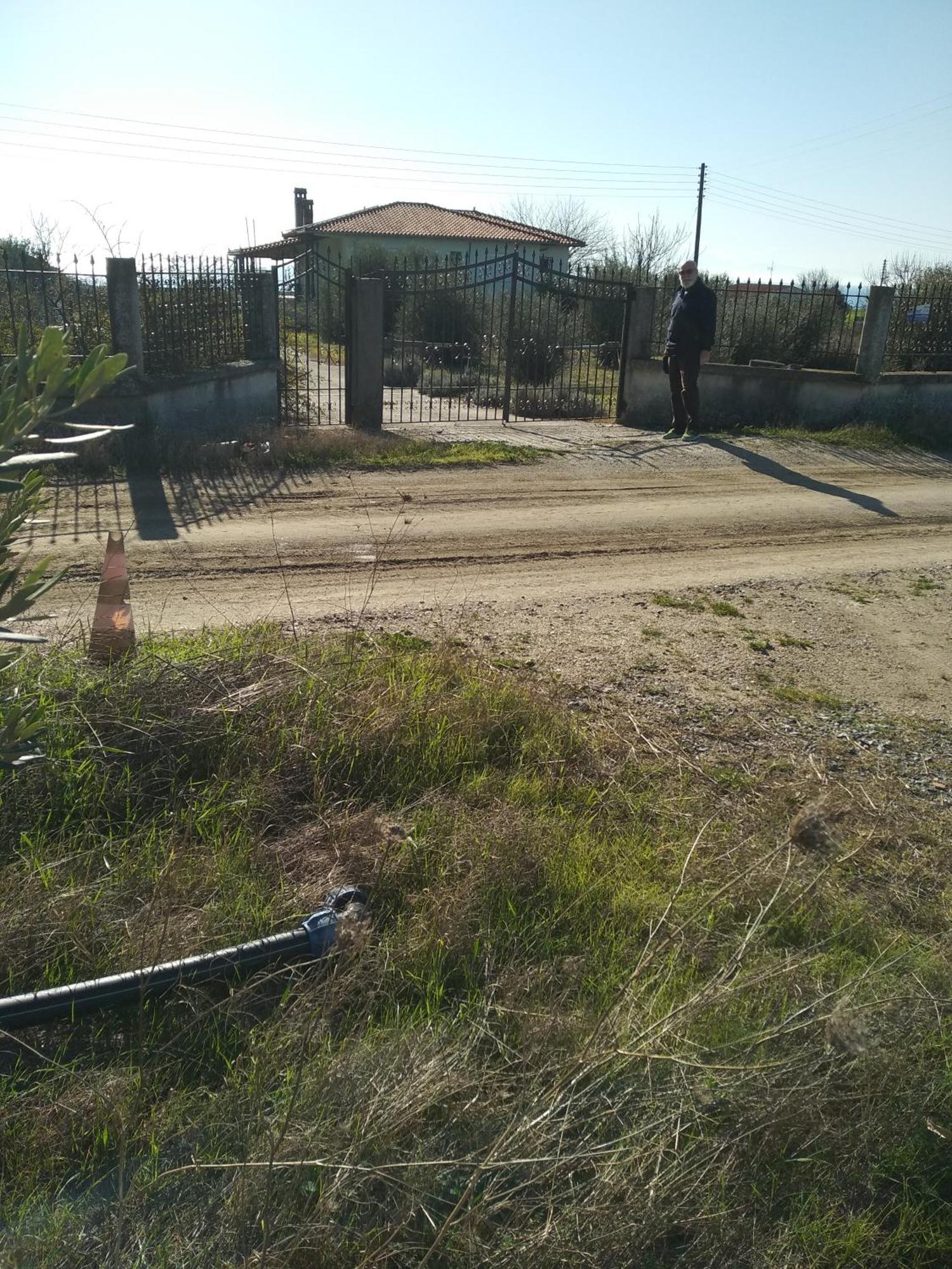 Peacock Upper Holiday home