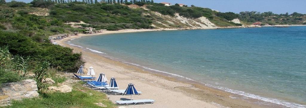 Anemona And
