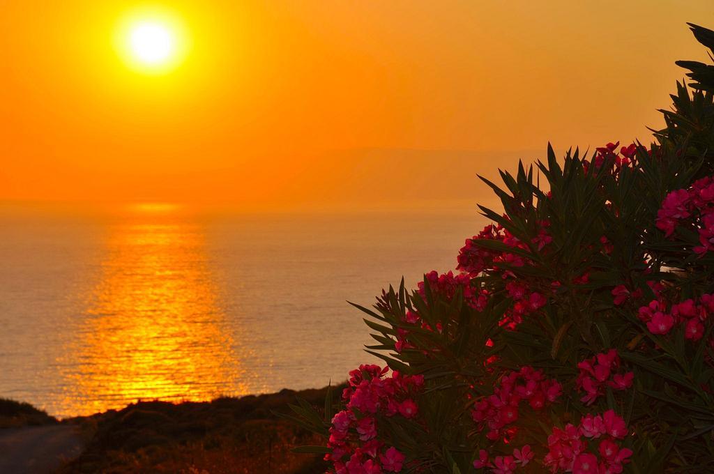 Golden Sun