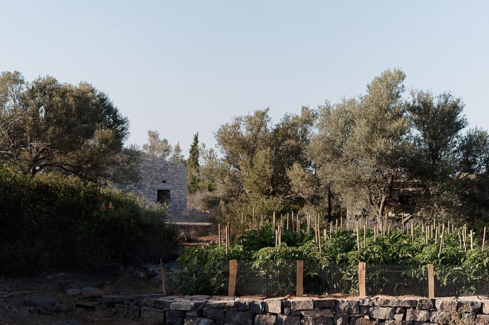 Hotel Village Heights 5*