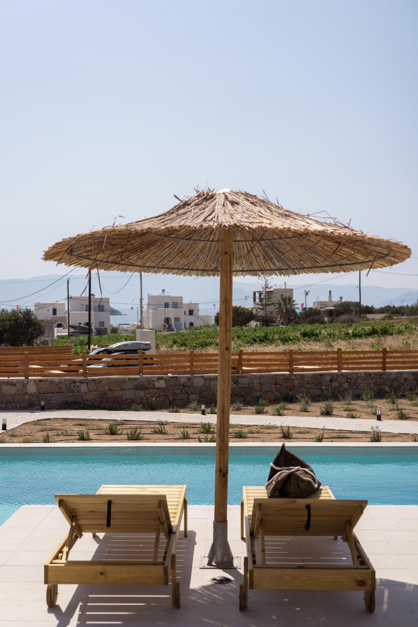 Finest -seaside With Private Swimming Pool- Villa Mikri Vigla