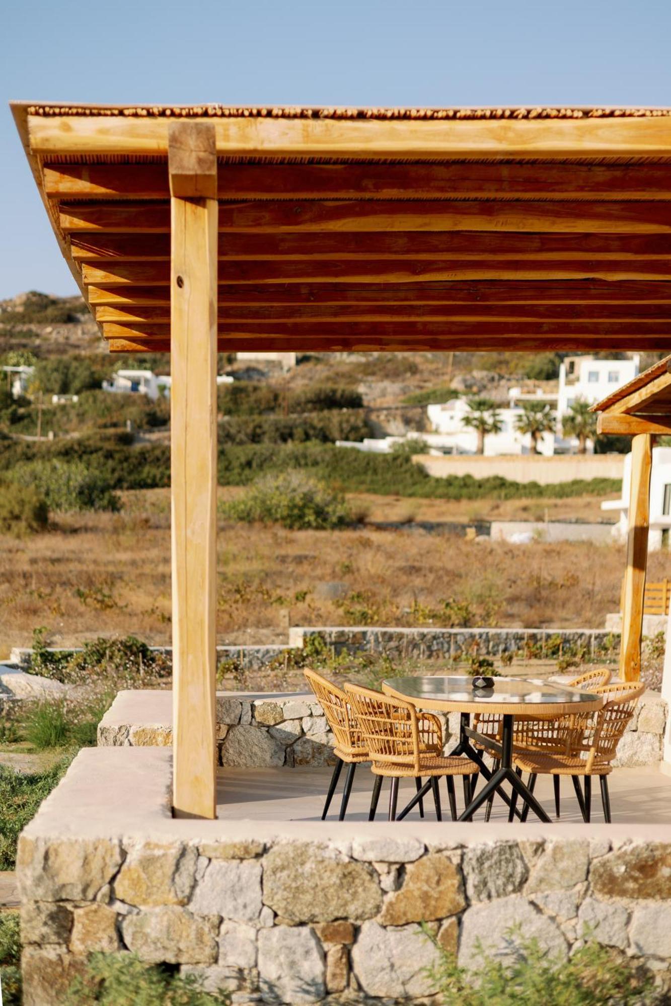 Finest -seaside With Private Swimming Pool- Villa Mikri Vigla