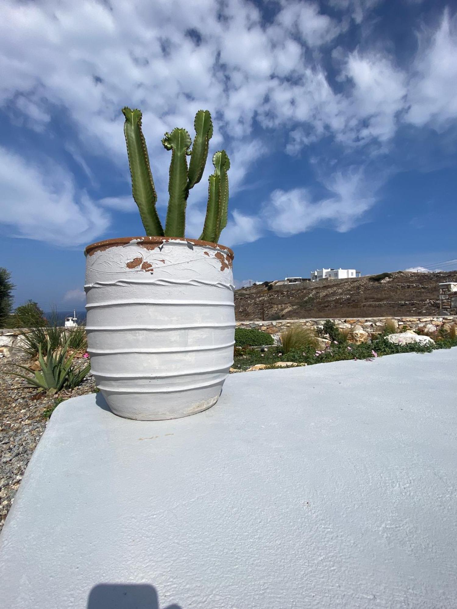 Petrinaki * Mykonos Town
