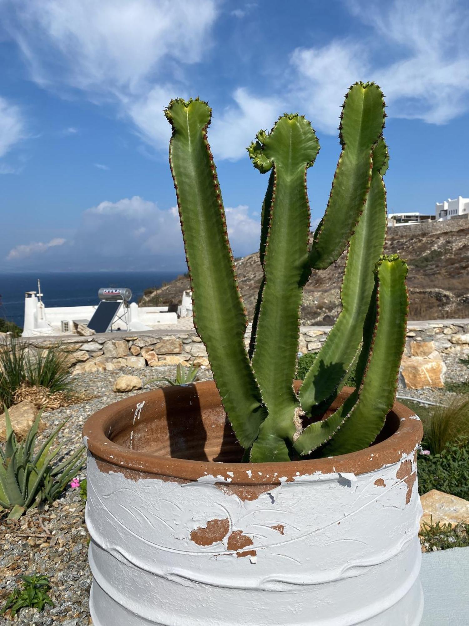 Villa Petrinaki Mykonos Town