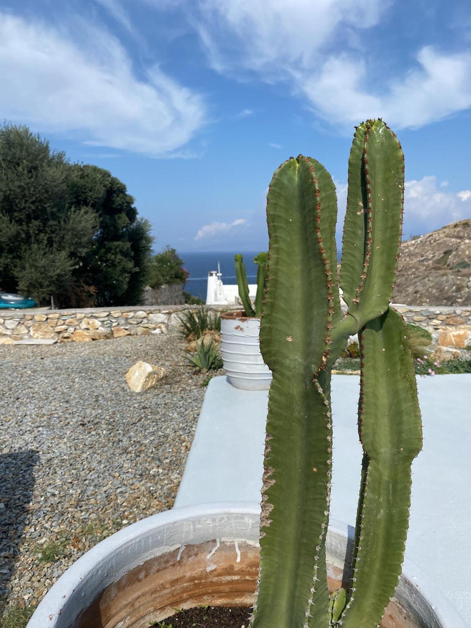 Petrinaki Villa