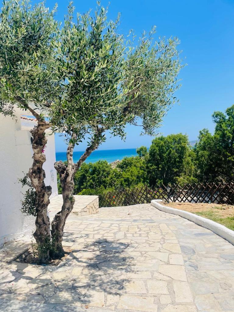 Lassion Golden Bay 3*