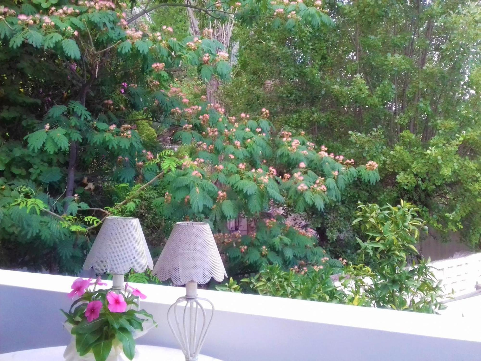 Villa Beachfront *