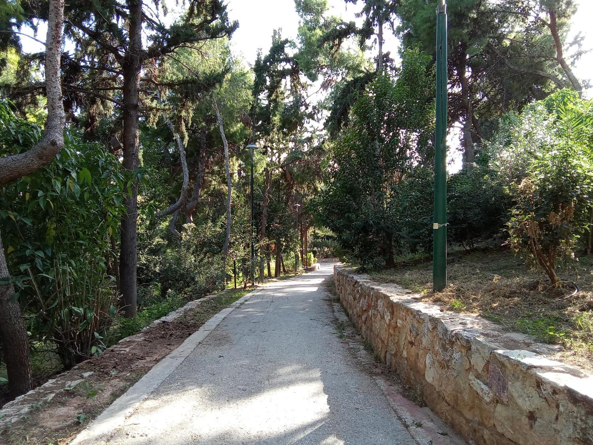 Homestay Work Or Vacation In Shared Athens