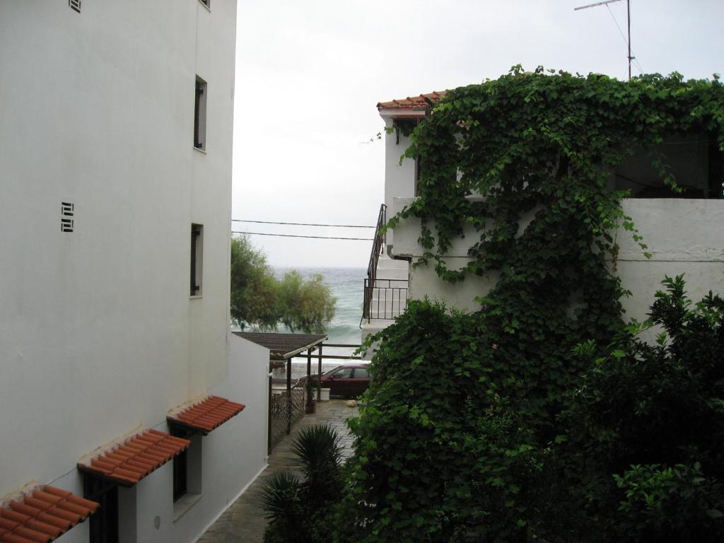 Maro 3* Agios Ioannis (Thessaly)