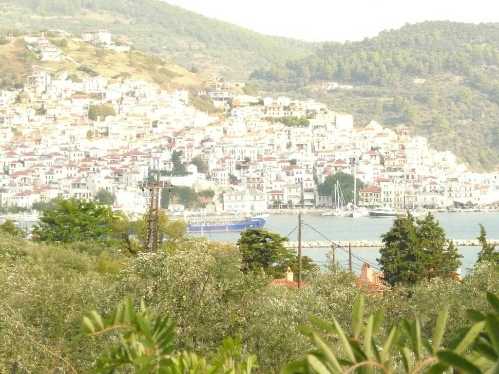 Apartment Filoxenia