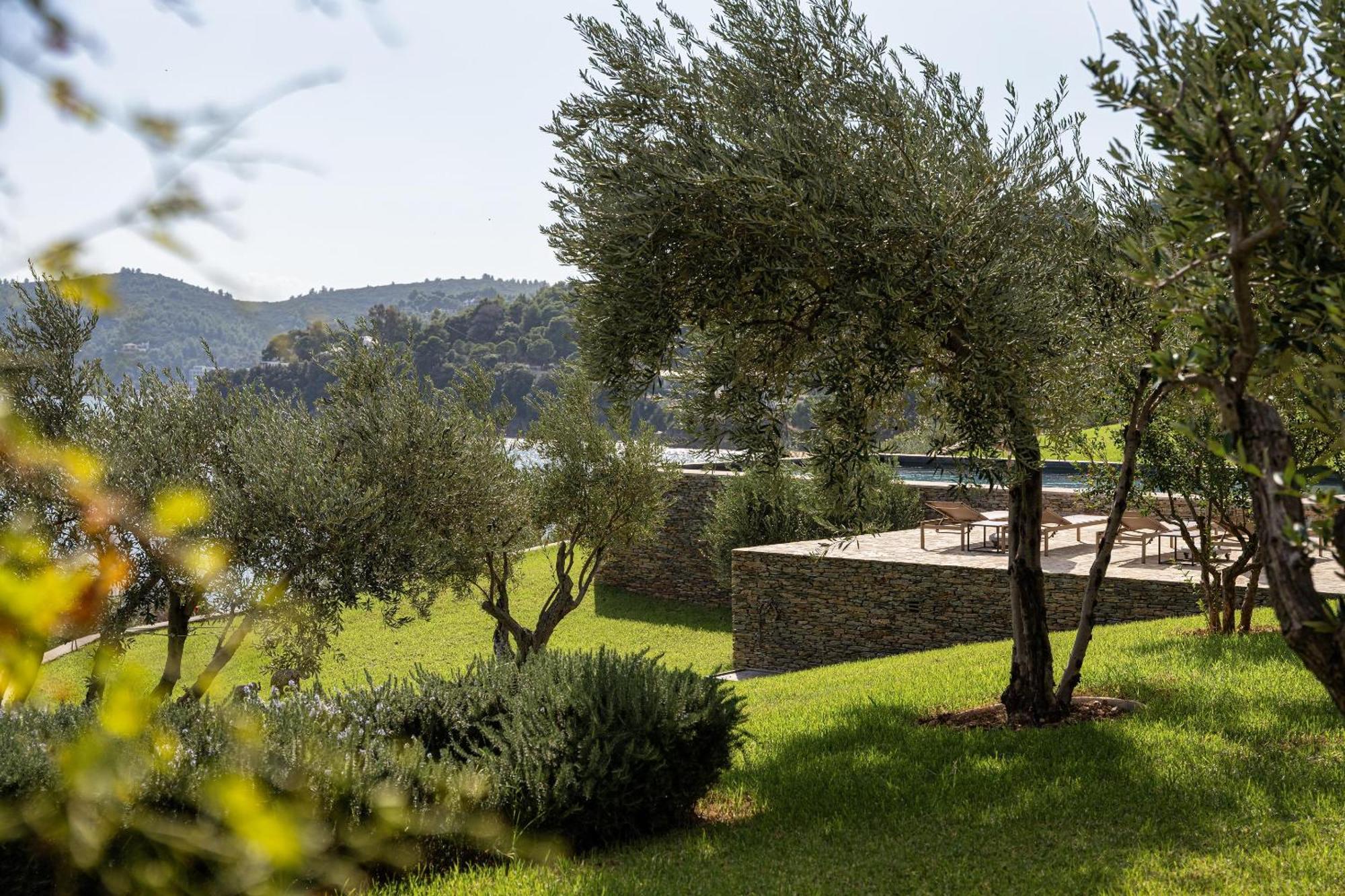 Pelagoon * Skiathos Town