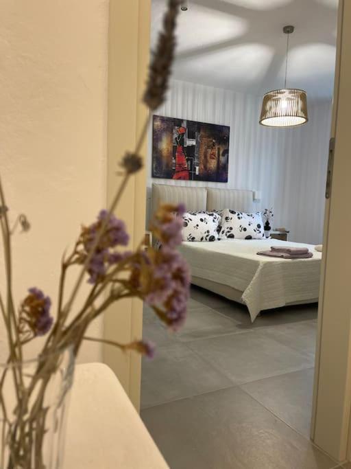 Villa Dream 1 ολόκληρος χώρος με πισίνα *
